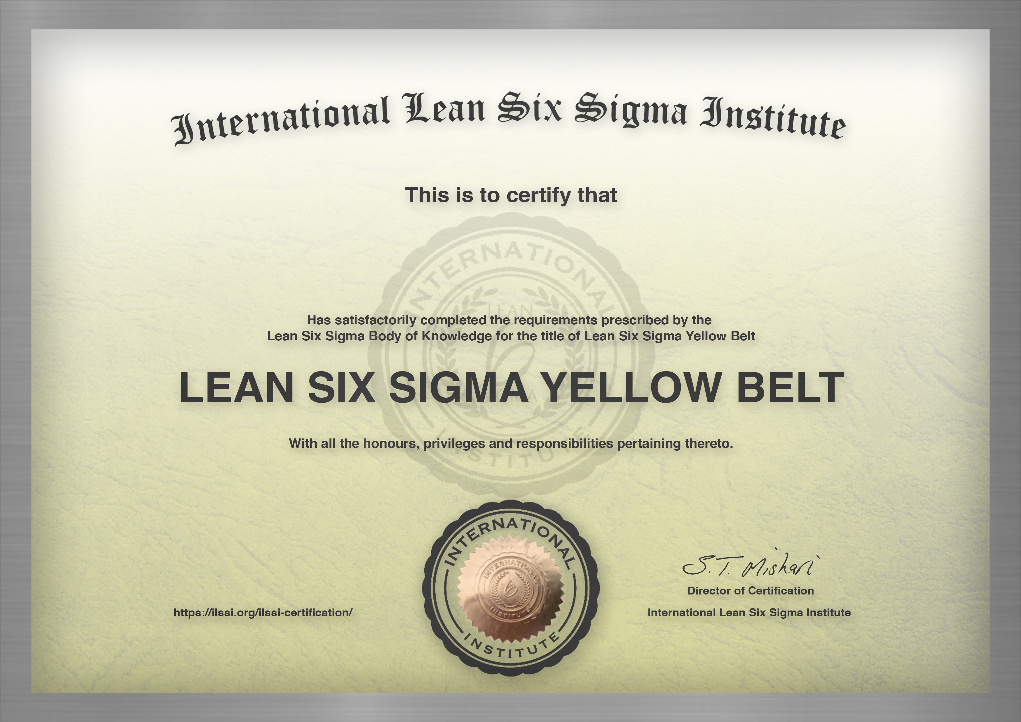 Six sigma yellow belt free sale